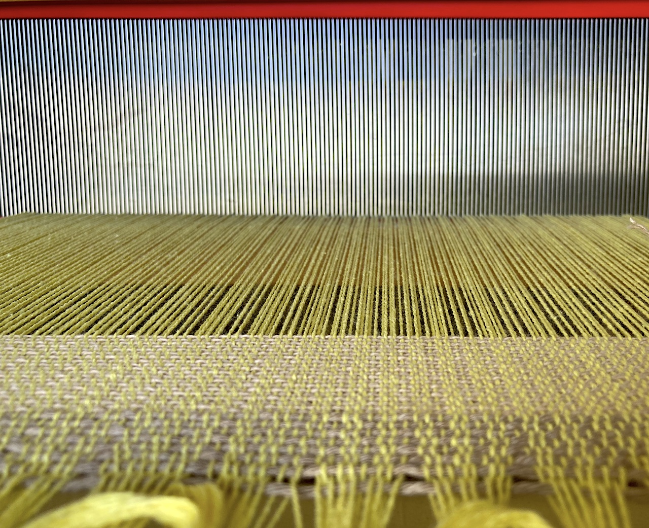 A view of the warp fibers on a loom, looking towards the reed